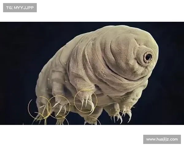 揭开神秘生物面纱探索隐藏于世界尽头的五大奇幻特征